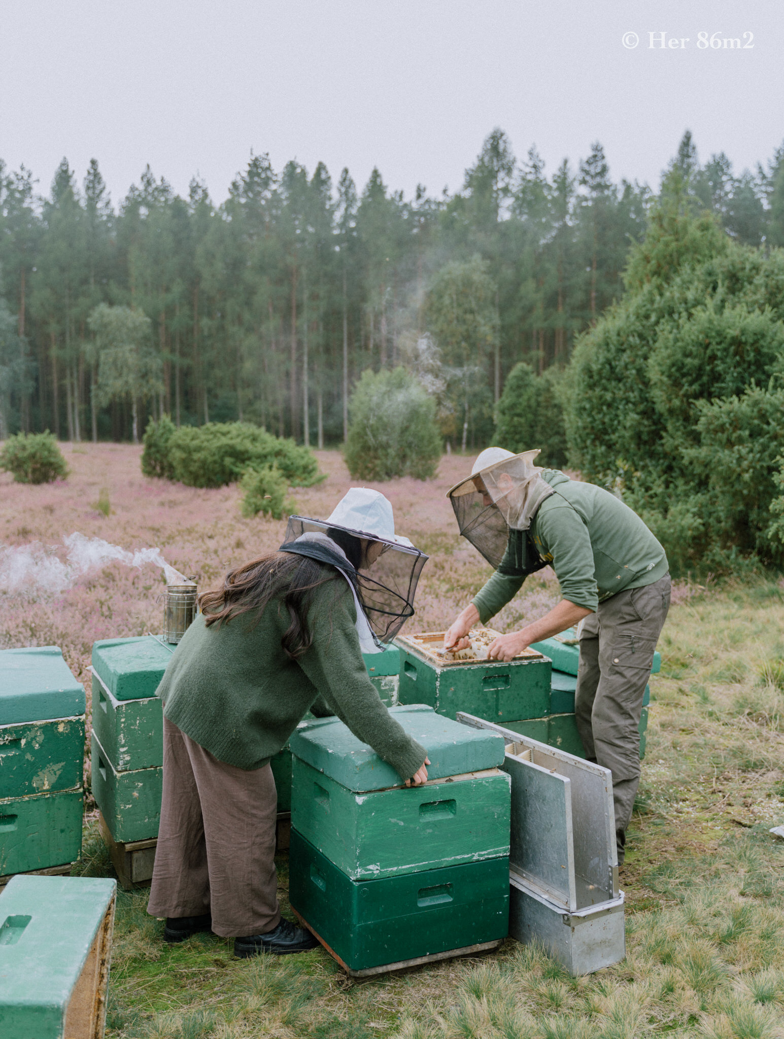 Harvesting Honey! My Days Learning from a Master Beekeeper — HER